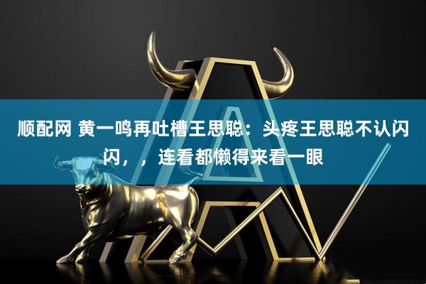 顺配网 黄一鸣再吐槽王思聪：头疼王思聪不认闪闪，，连看都懒得来看一眼