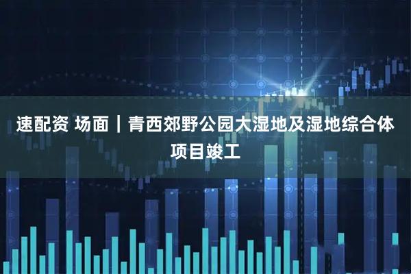 速配资 场面｜青西郊野公园大湿地及湿地综合体项目竣工