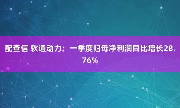 配查信 软通动力：一季度归母净利润同比增长28.76%